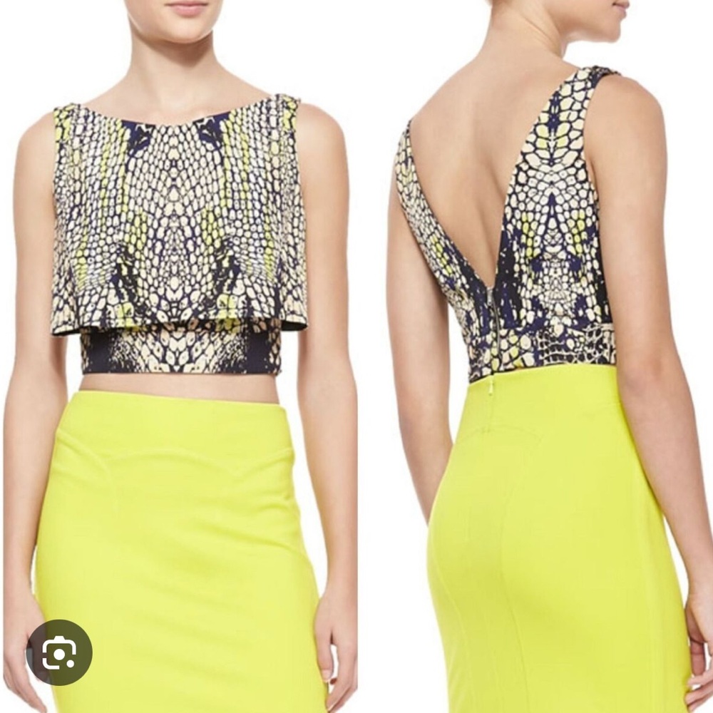 Alexander McQueen Animal Print Top